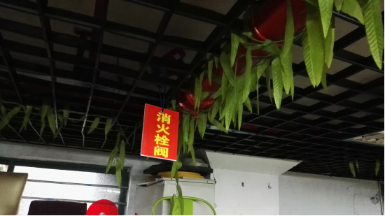 中国·EWC电竞(有限公司)官方网站-World Endurance Championship